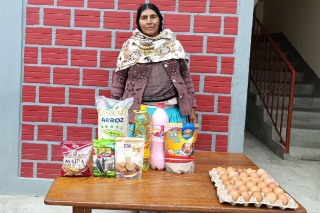 Entrega de alimentos y productos básicos.